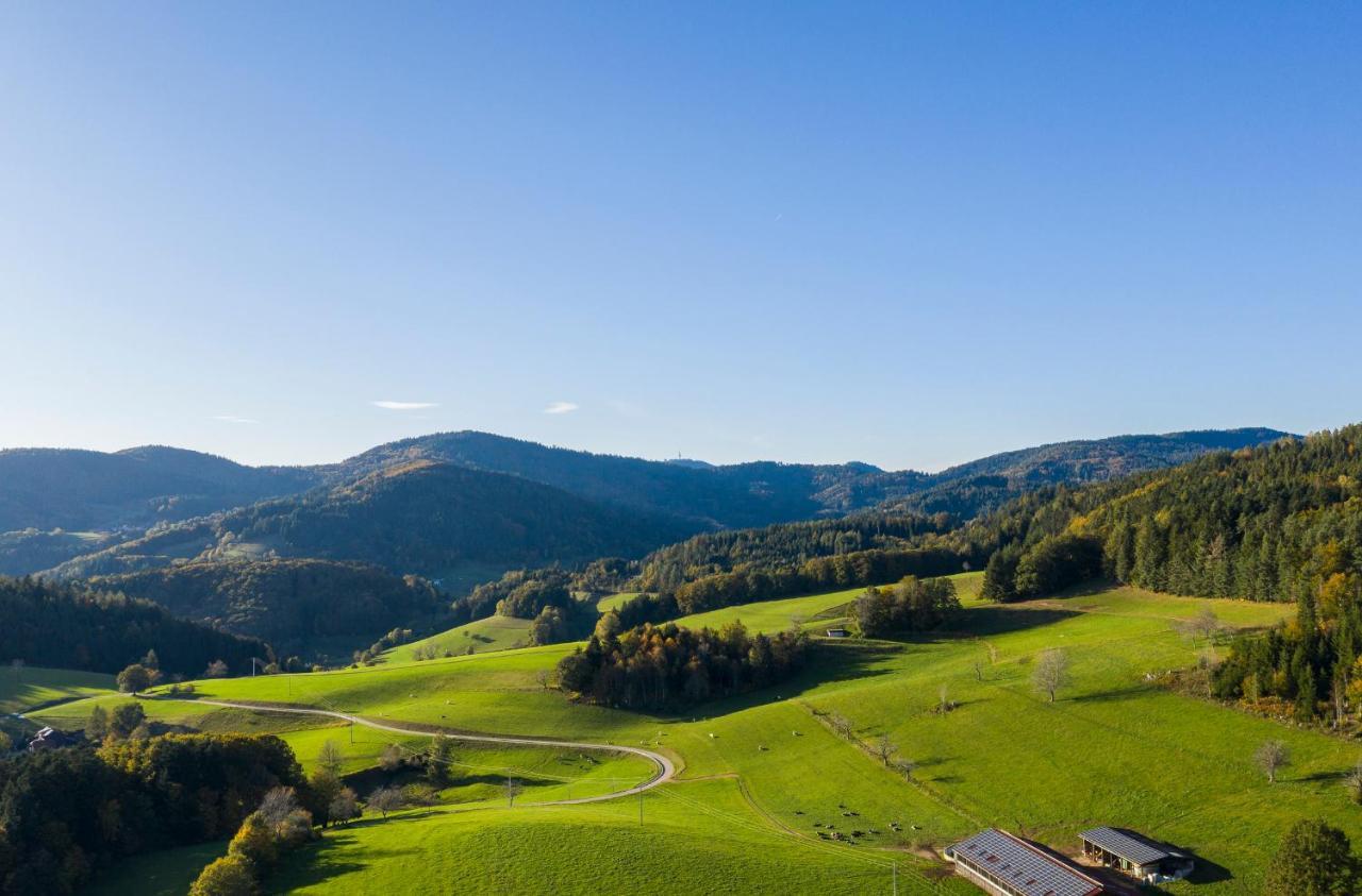 Hotel-Restaurant Sennhuette Im Herzen Des Suedschwarzwalds Kleines Wiesental 외부 사진