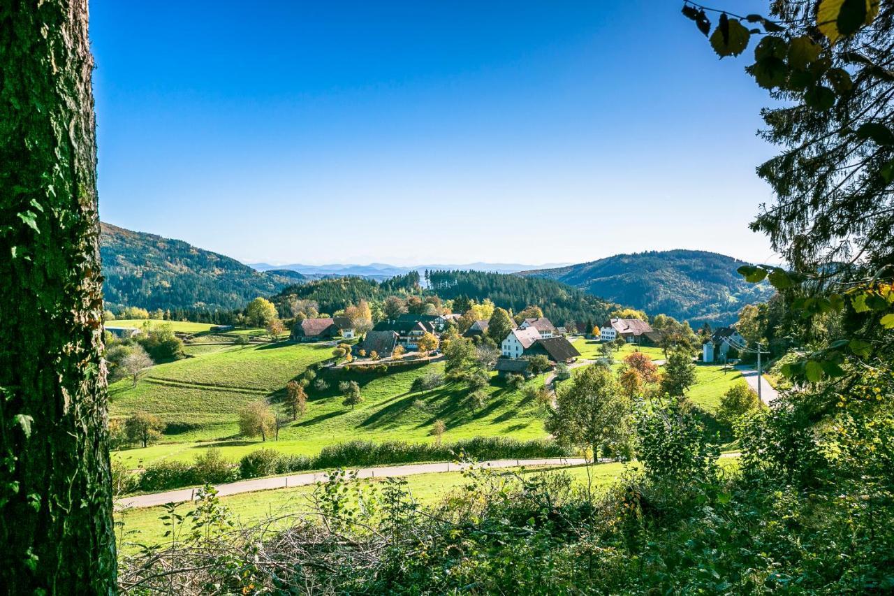 Hotel-Restaurant Sennhuette Im Herzen Des Suedschwarzwalds Kleines Wiesental 외부 사진
