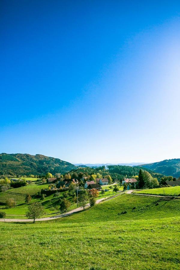 Hotel-Restaurant Sennhuette Im Herzen Des Suedschwarzwalds Kleines Wiesental 외부 사진